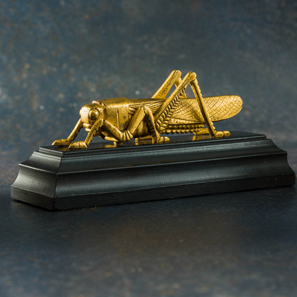 Grasshopper Mascot Paperweight