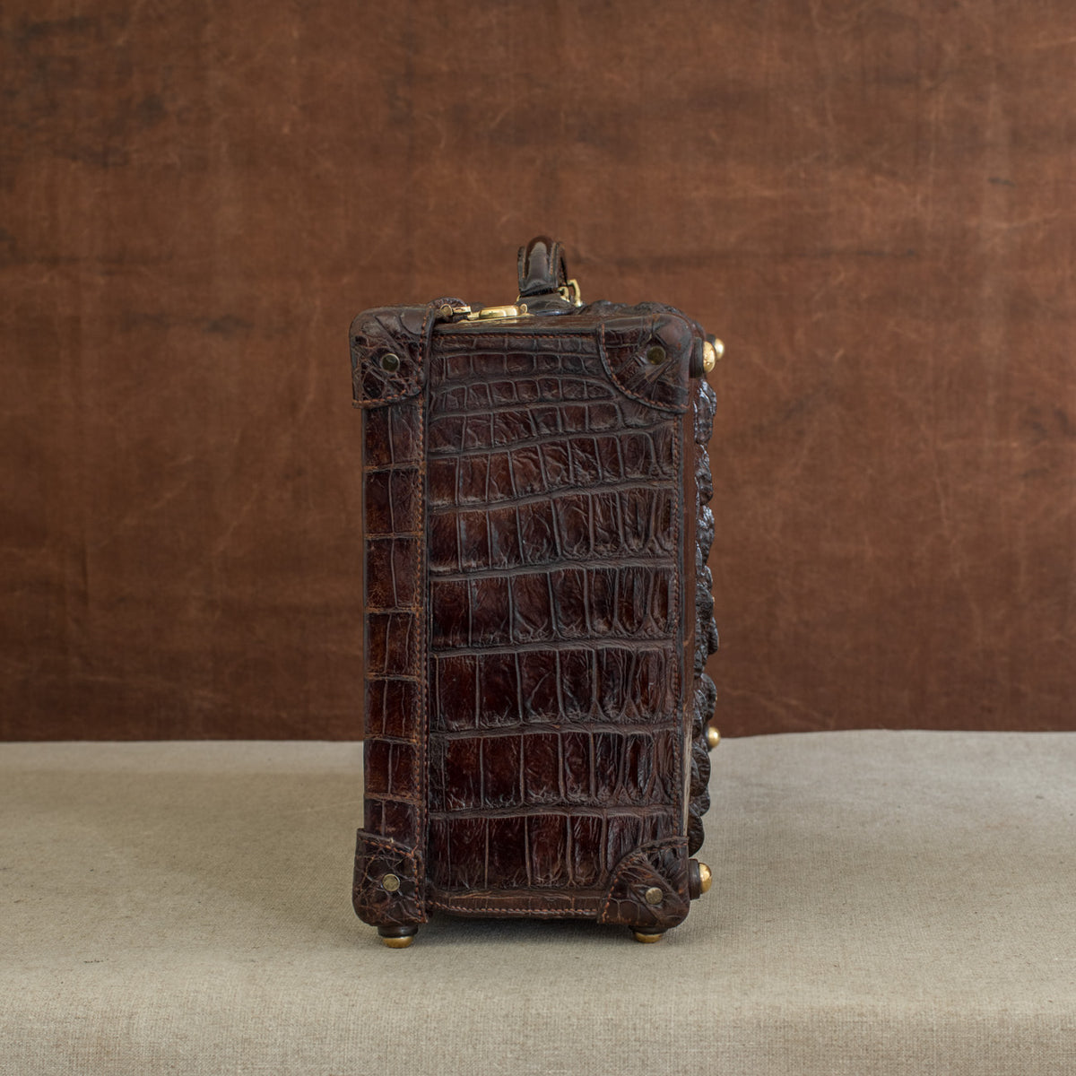 Alligator top skin suitcase