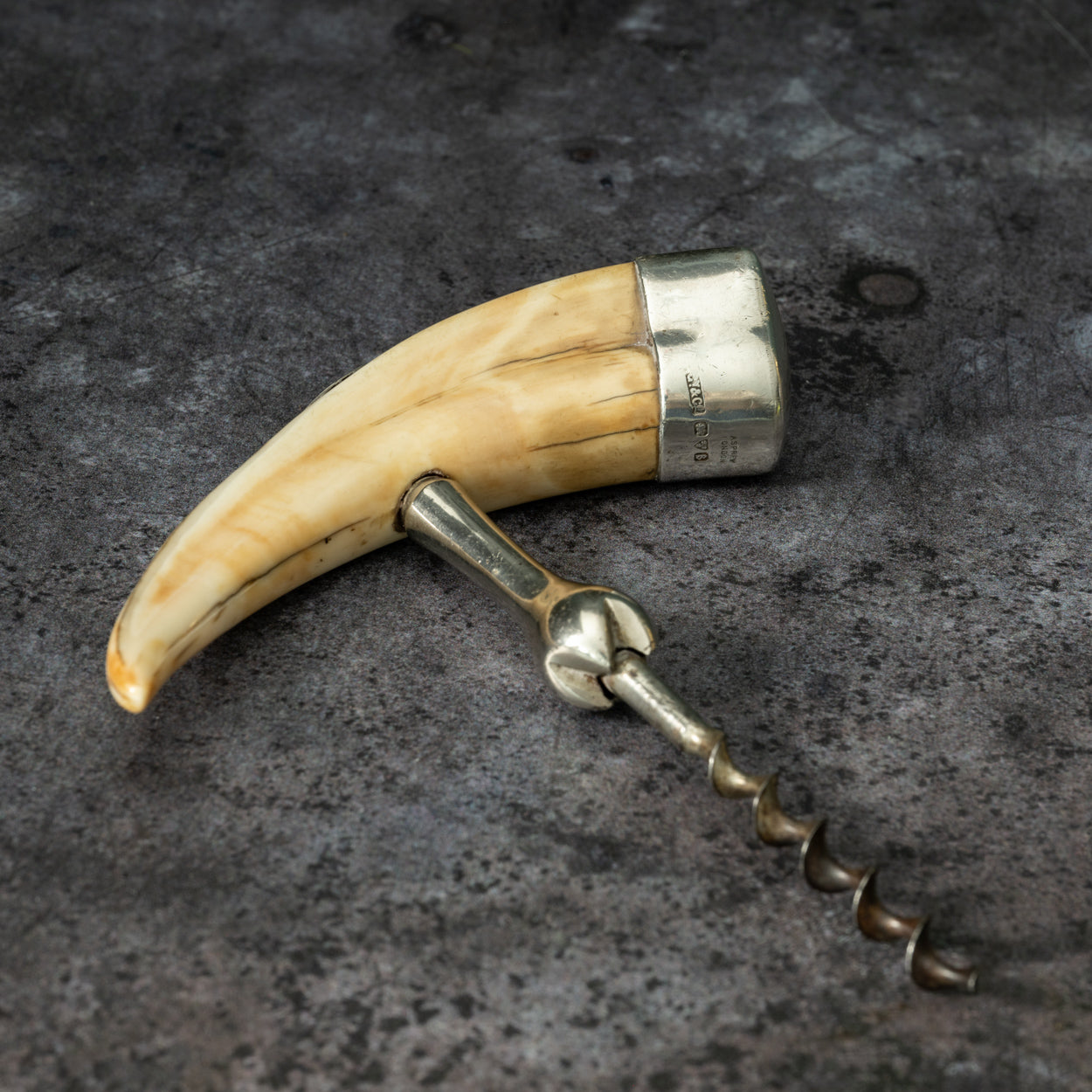 Warthog Tusk Corkscrew by Asprey – Bentleys London