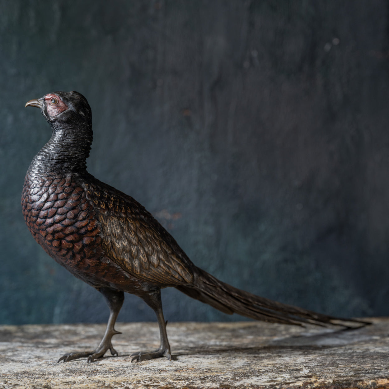 Bergmann Bronze Pheasant