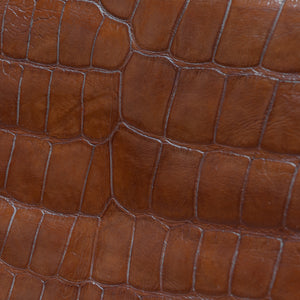 Crocodile Skin Blotter Folder