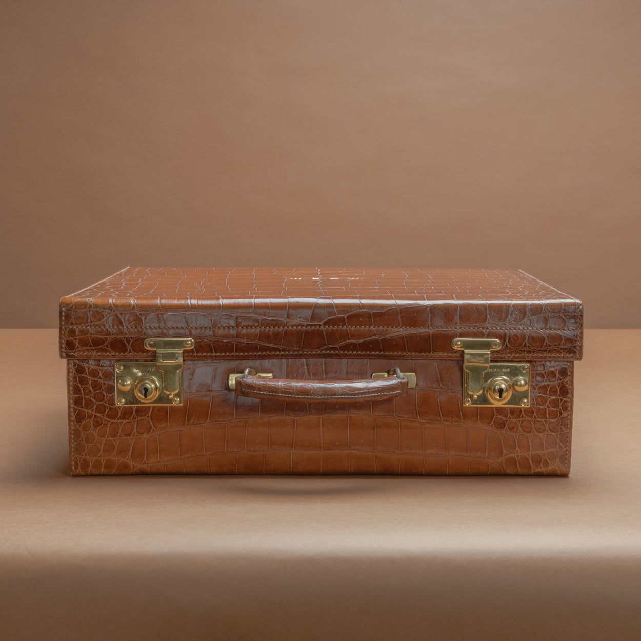 Crocodile　CoinCase　　 ANTIQUE 5 troy ounce silver coin Protecting Wildlife - The Crocodile