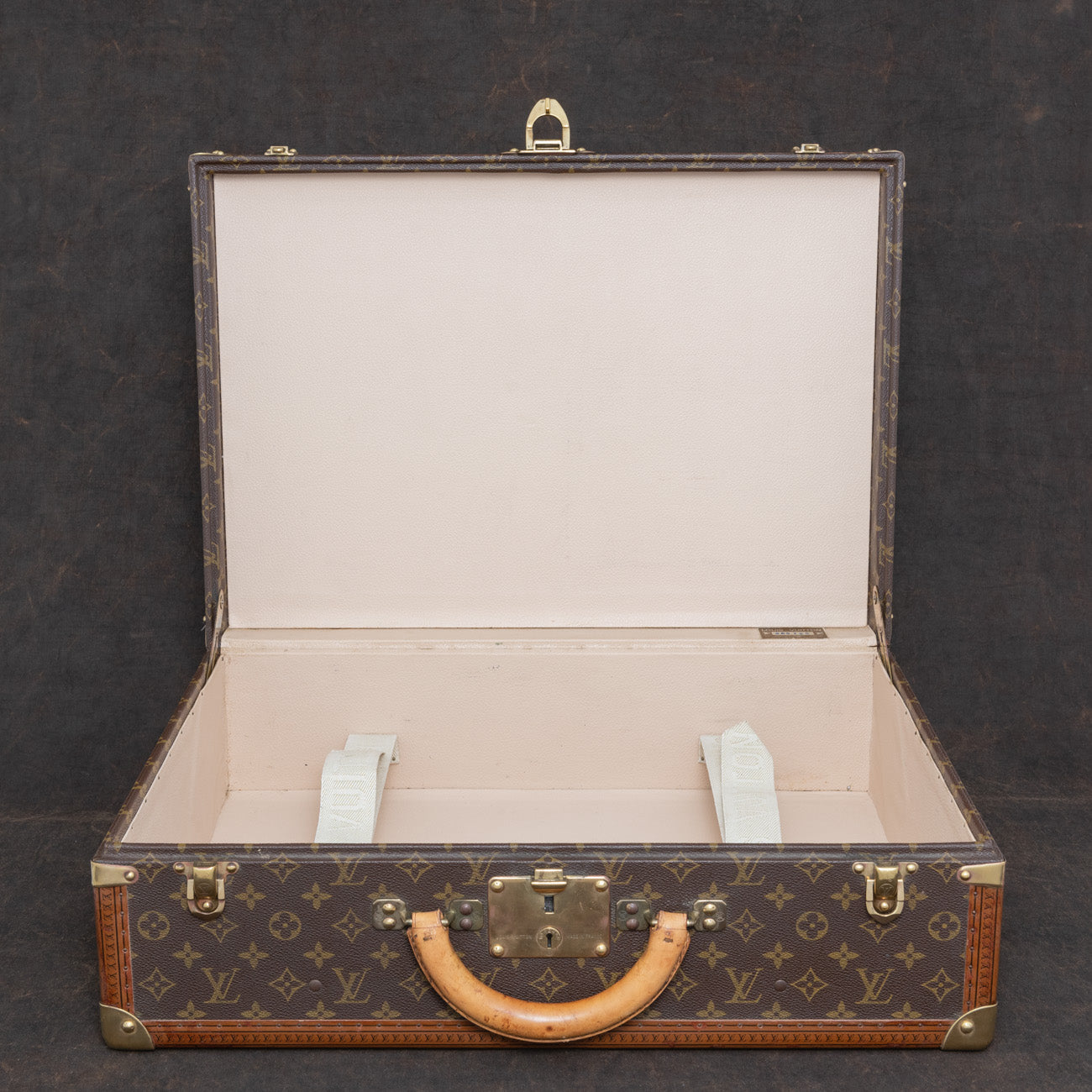 lv luggage cover