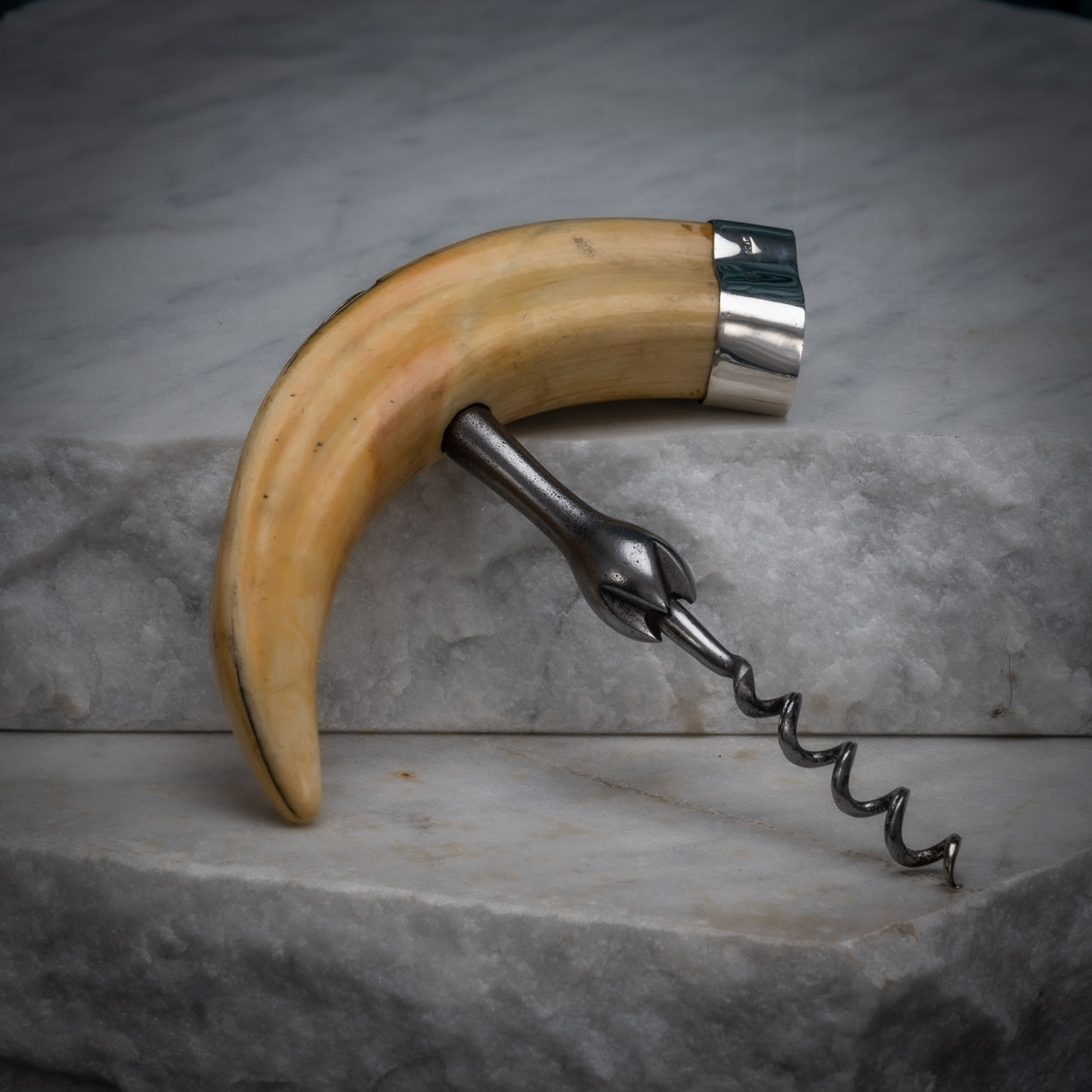 Large Warthog Tusk Corkscrew