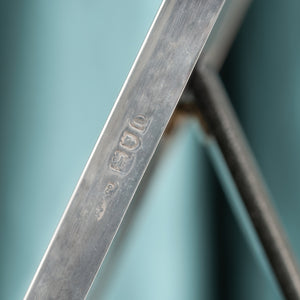 Polished Silver Frame