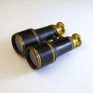 Leather and Brass Hand Held Binoculars