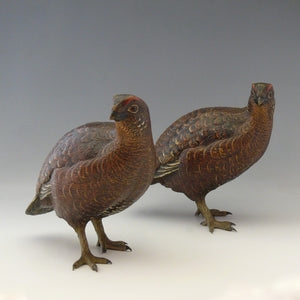 Pair of Bronze Grouse