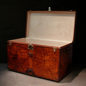 Goyard Leather Courier Trunk